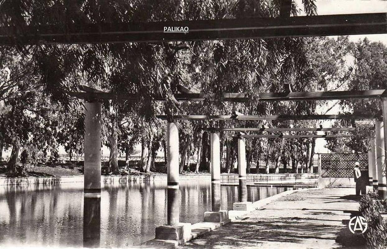 Palikao 620 Pergola Petit Lac.jpg